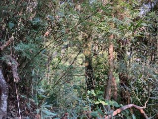 Imagem do imóvel TE10152