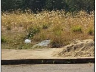 Imagem do imóvel TE18285