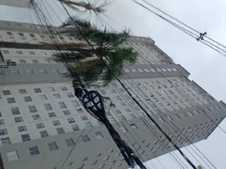 Imagem do imóvel AP24147