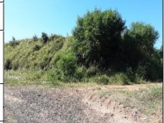 Imagem do imóvel TE56152