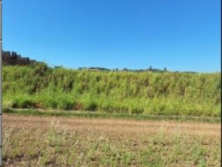 Imagem do imóvel TE26360