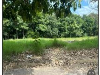 Imagem do imóvel TE23251