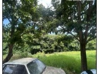 Imagem do imóvel TE94784