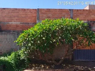 Imagem do imóvel CA87089