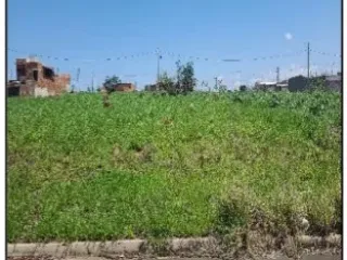 Imagem do imóvel TE81048