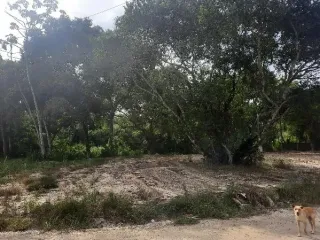 Imagem do imóvel TE85284